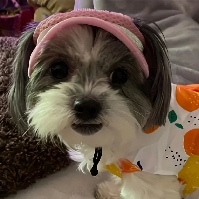 Sun-Protective Pet Hat
