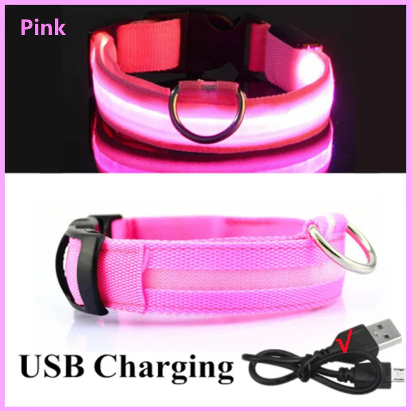 Luminous Collar