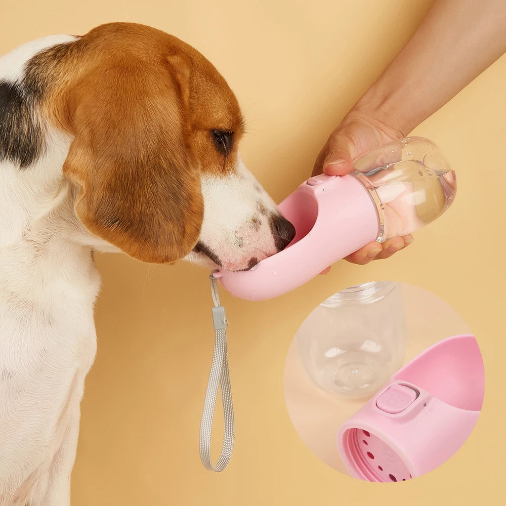Outdoor Water Bottle For Cats & Dogs