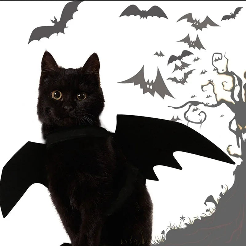 Halloween Black Bat Wings Harness