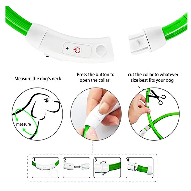 Luminous Collar