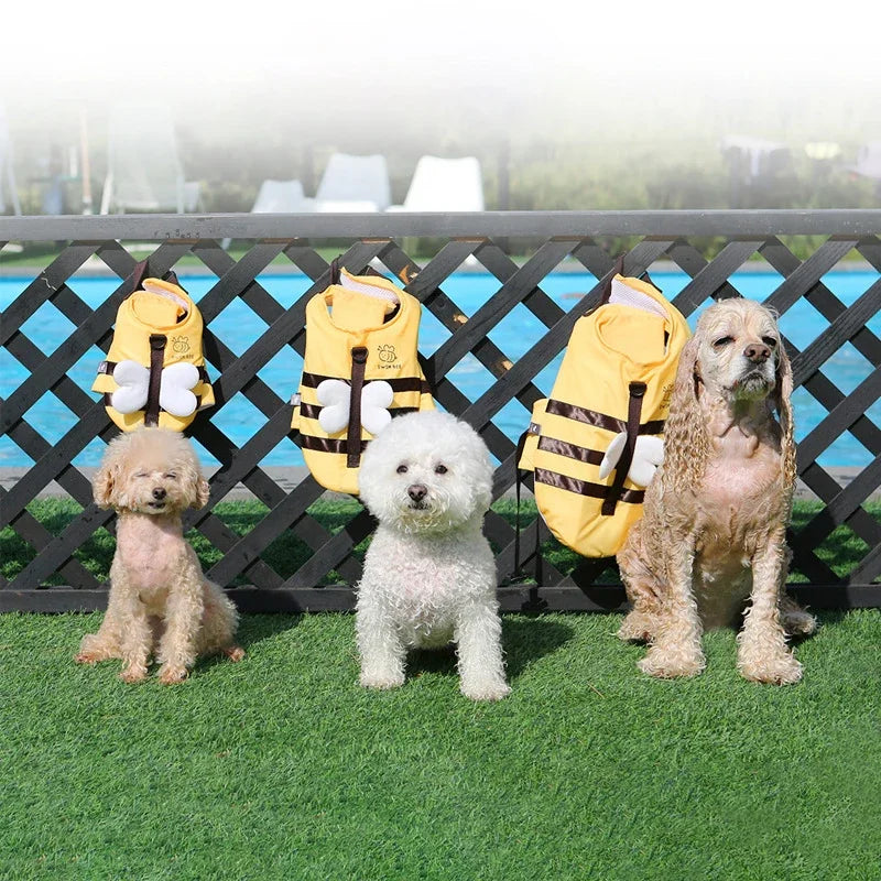 Little Bee Dog Swimsuit