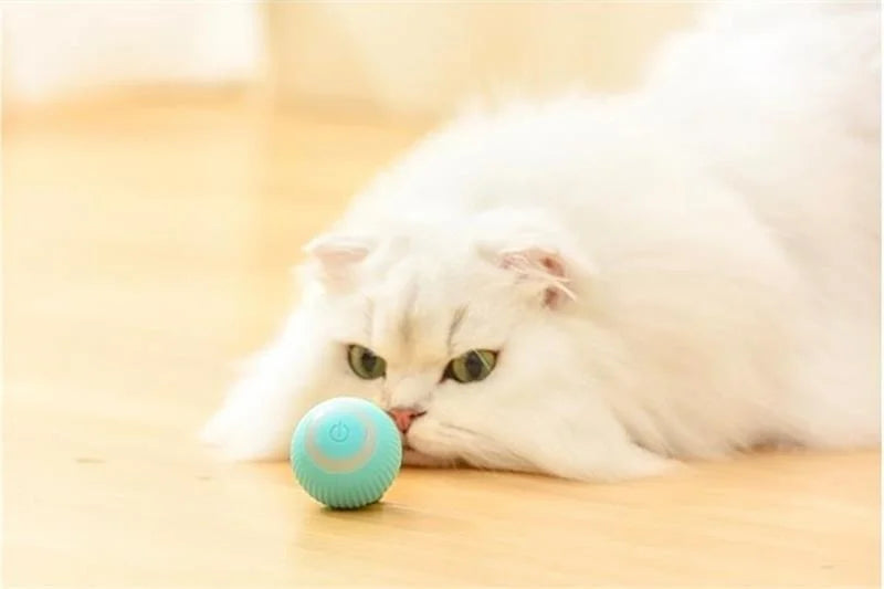 Smart Puppy Ball Toy
