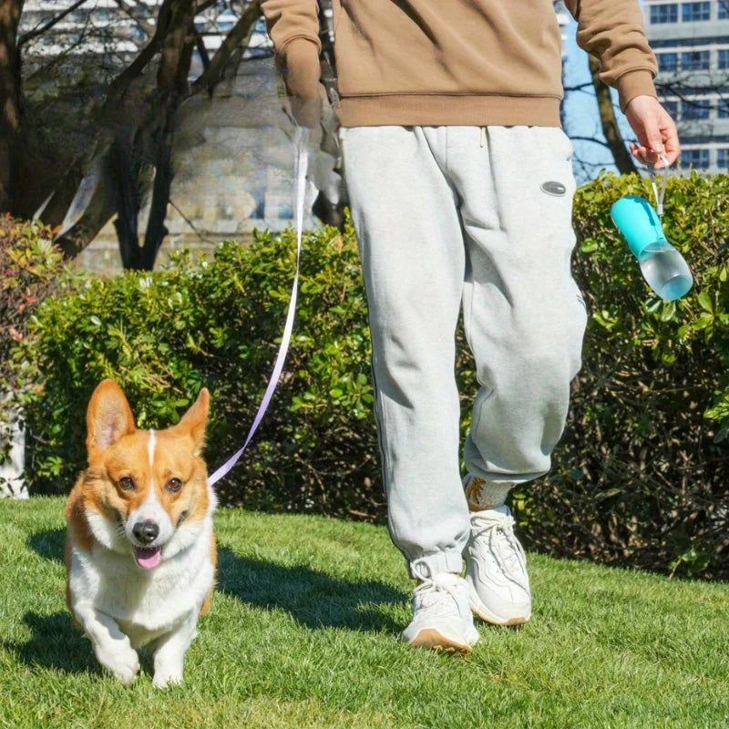 Portable Water Bottle