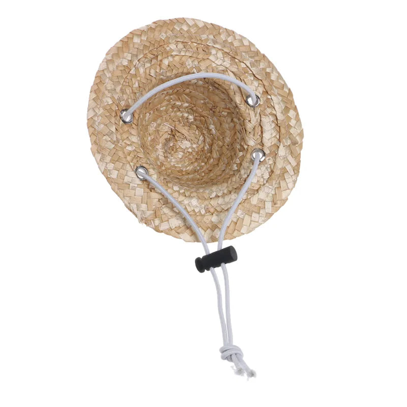 Dog Straw Hat