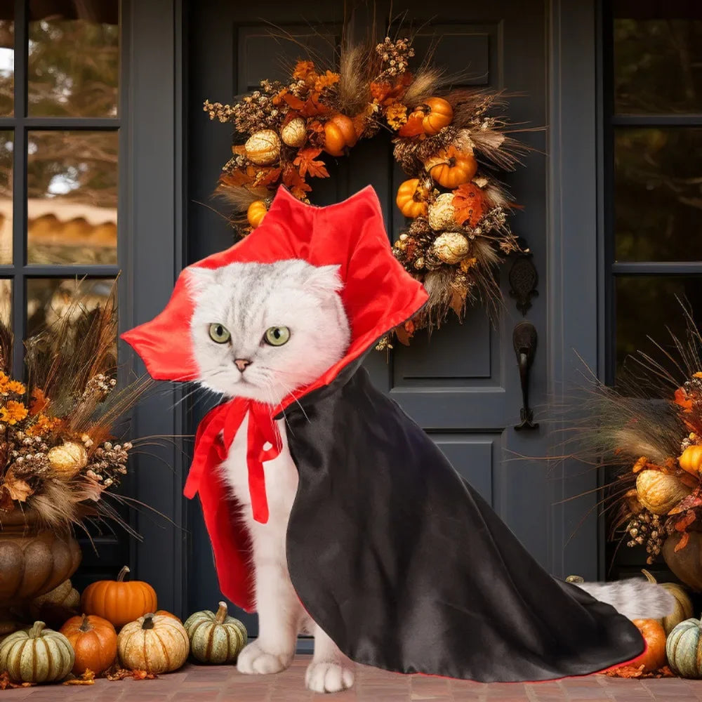 Halloween Vampire Costumes Couture