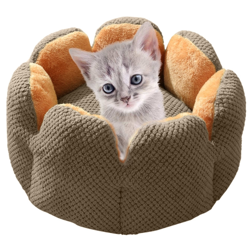 Cactus Flower Puppy Bed