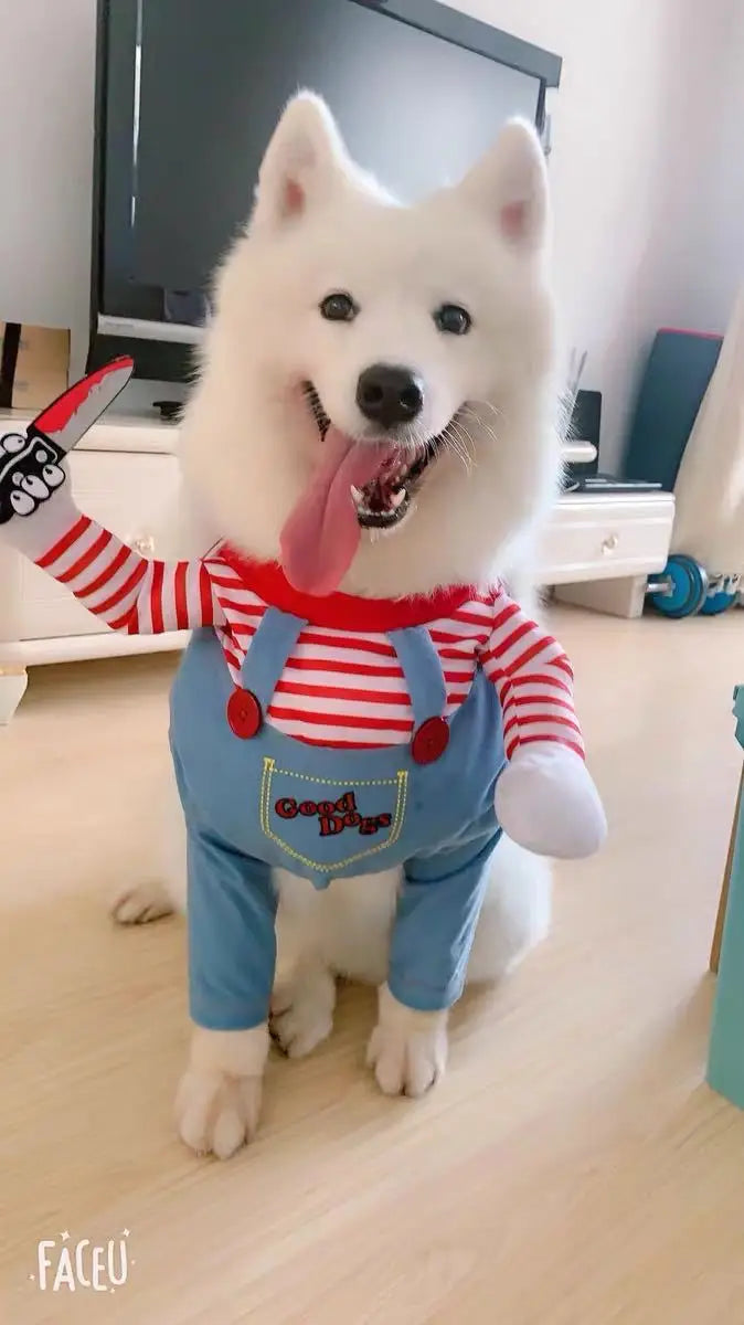 Halloween Cosplay Costume Dog Dress for Small & Medium Dogs