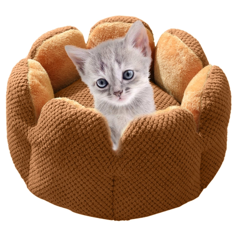 Cactus Flower Puppy Bed
