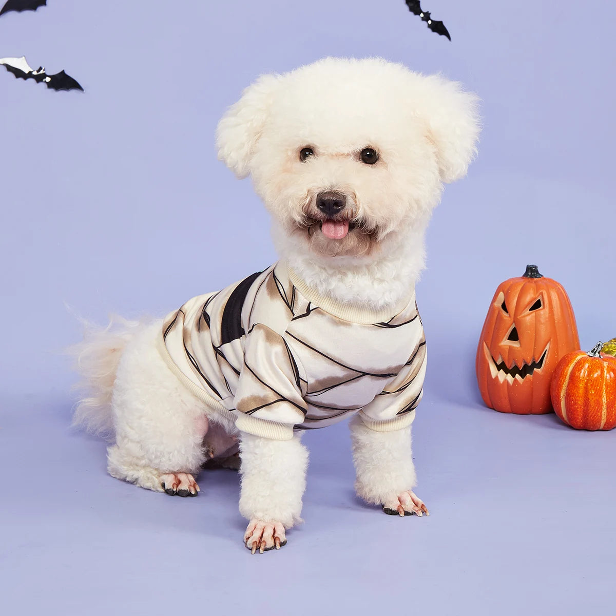 Halloween Mummy Costume