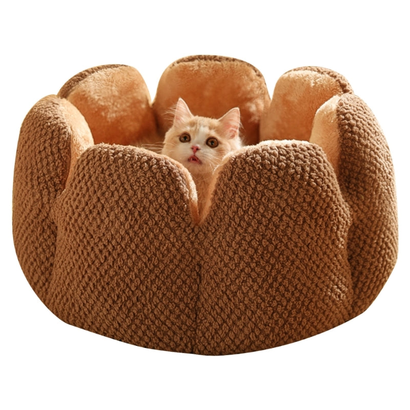 Cactus Flower Puppy Bed