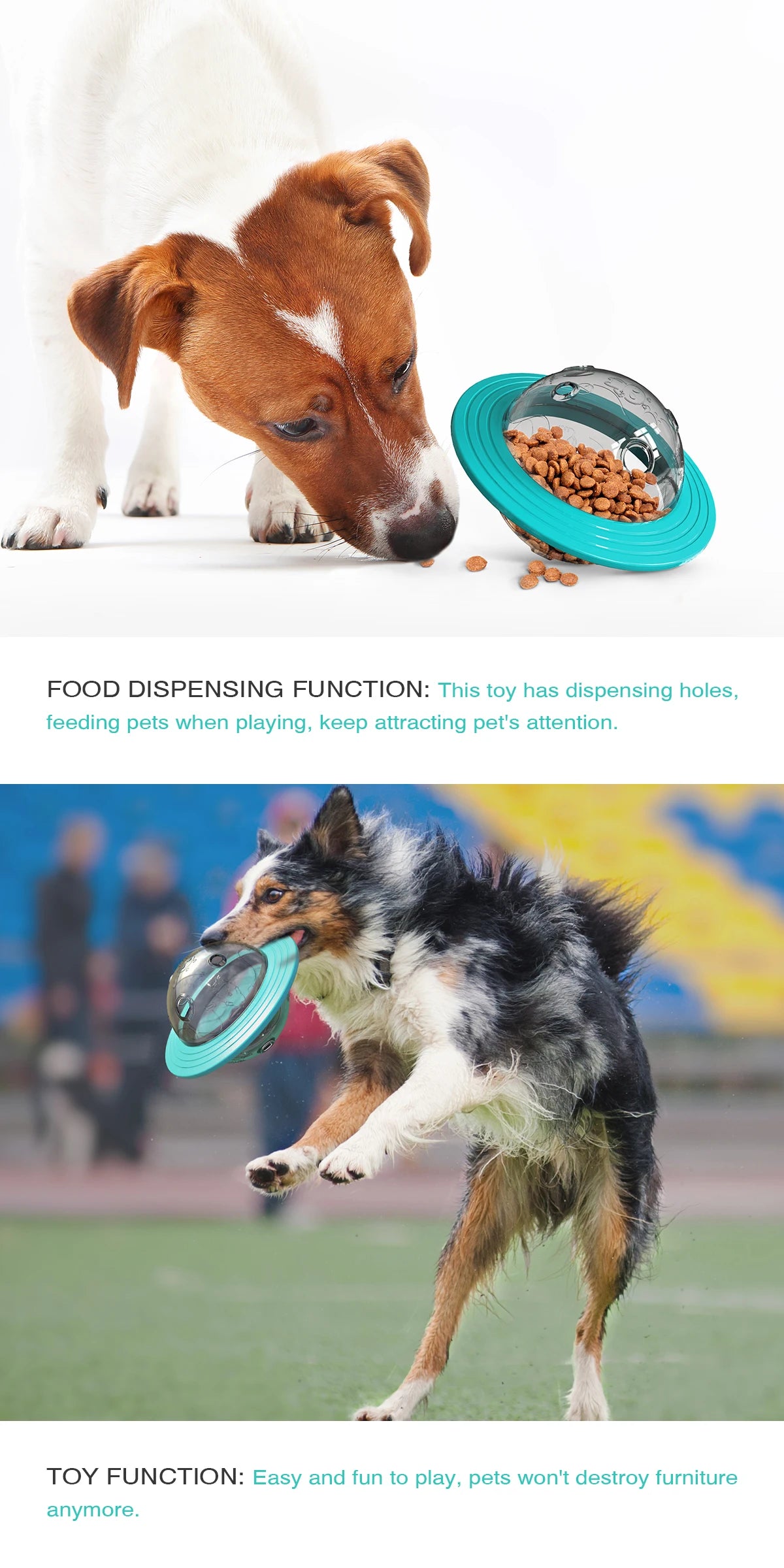 Feeder Toy