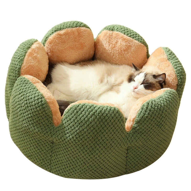 Cactus Flower Puppy Bed