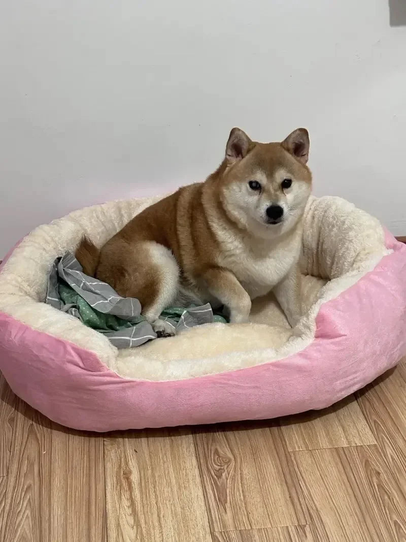 Soft Warm Bed