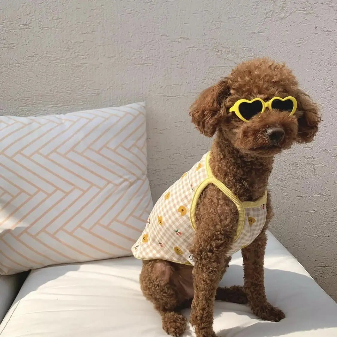 Pet Love Glasses