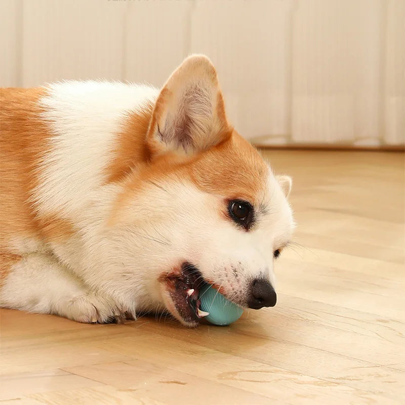 Smart Puppy Ball Toy
