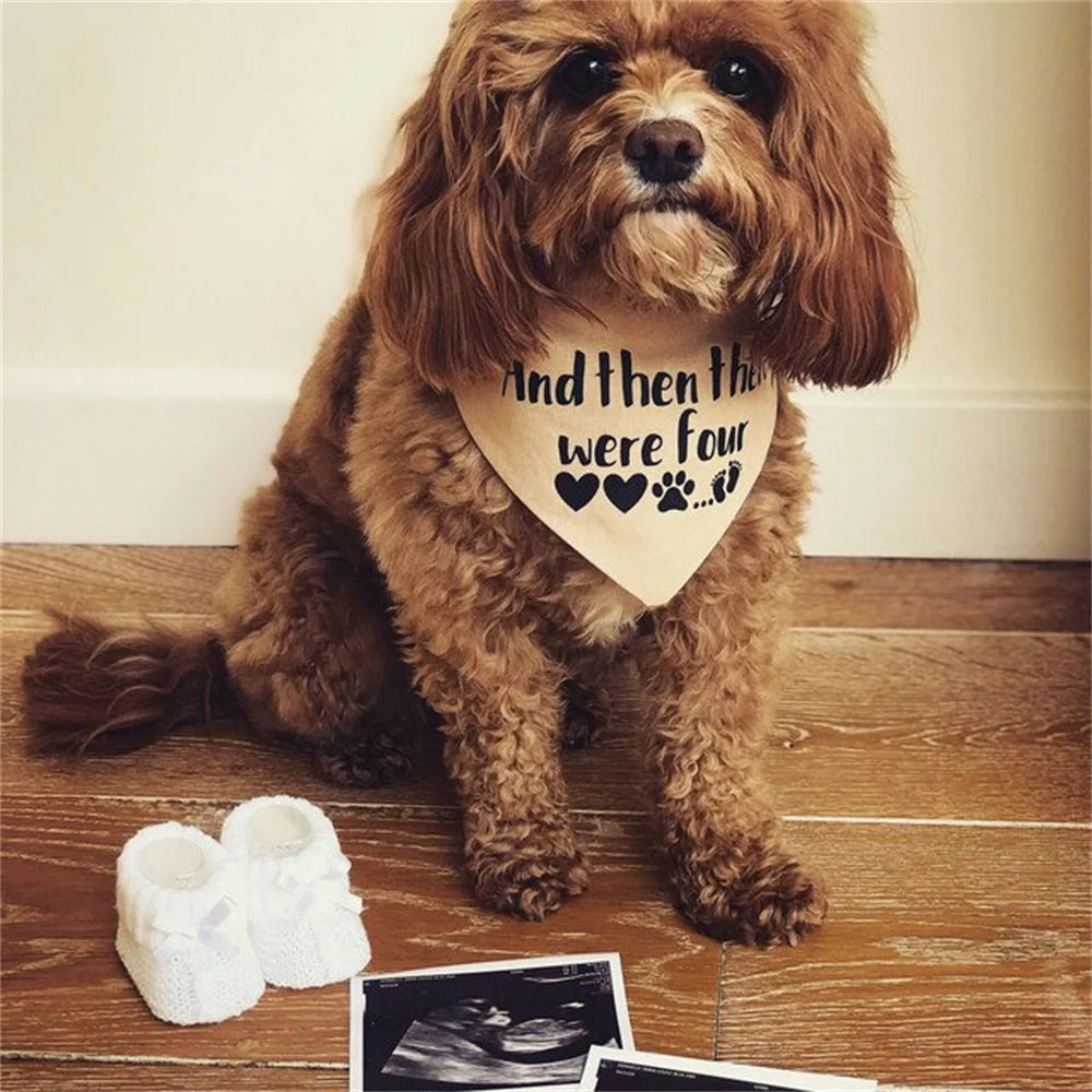 Baby Announcement Bandana