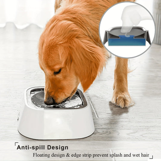 The Importance of Hydration for Pets: Why Pet Water Dispensers Matter
