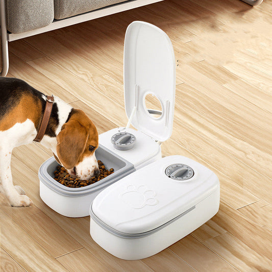 Why the Automatic Double Pet Feeder Belongs in Every Modern Home