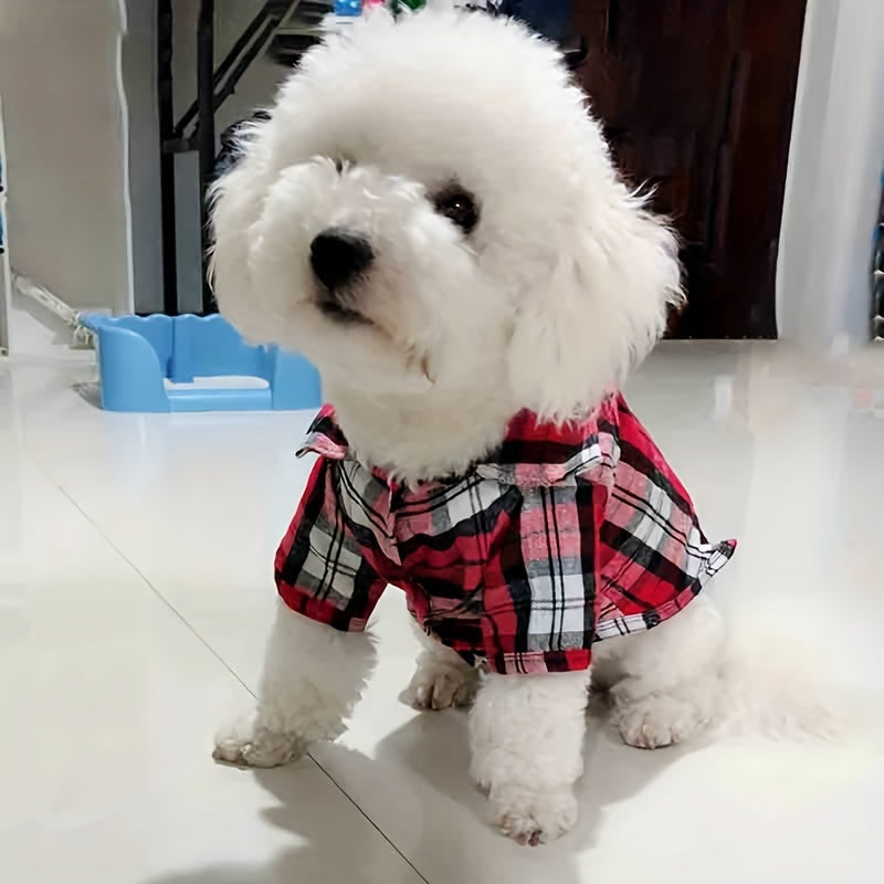 Stylish Shirt for Small Dogs and Cats