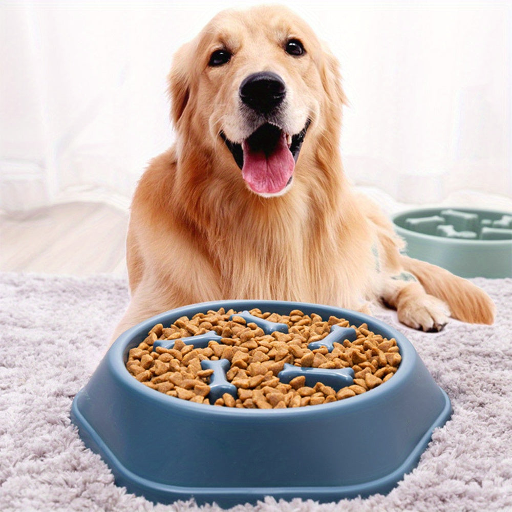 Healthy Eating Habits - Non-Slip Slow Feeder Pet Bowl