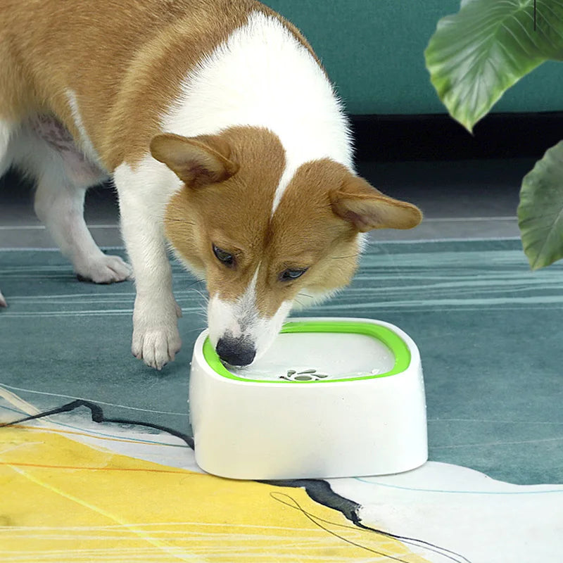 Anti-Spill Water Bowl