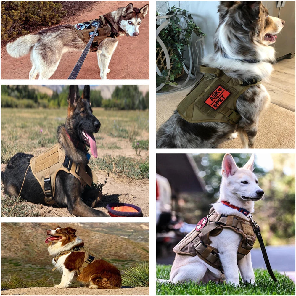 Military Large Dog Tactical Harness