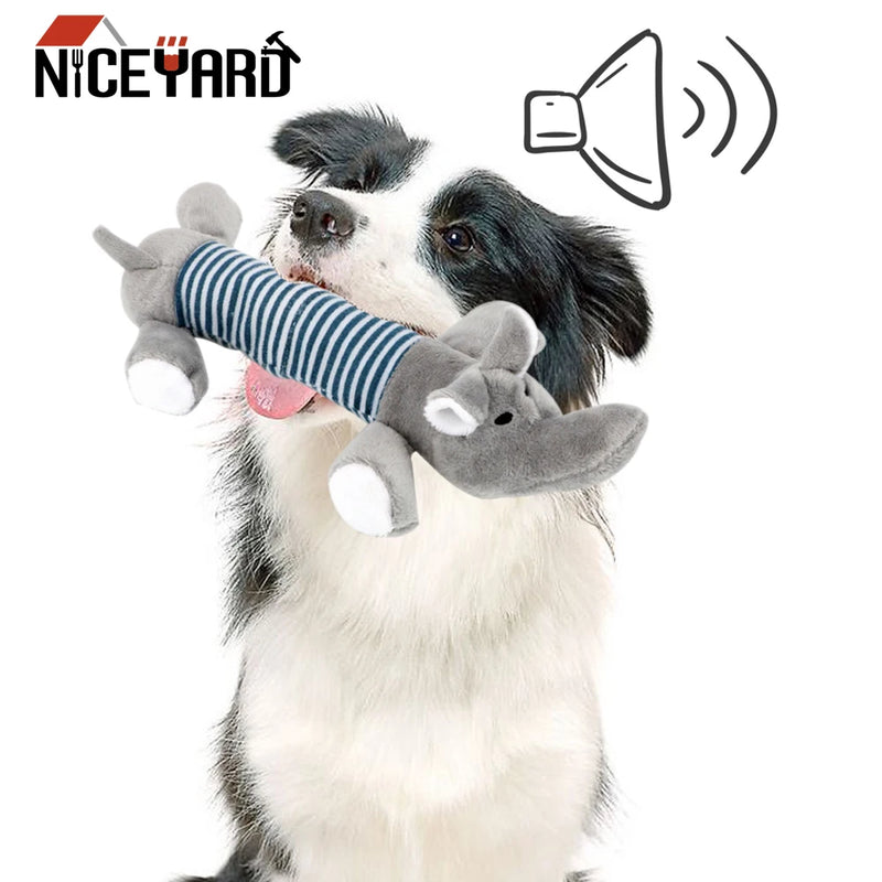 NICEYARD، Squeak Chew Sound