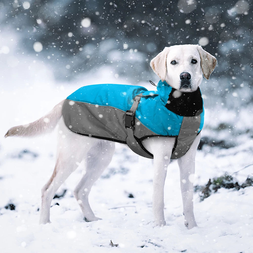 Waterproof Large  Coat