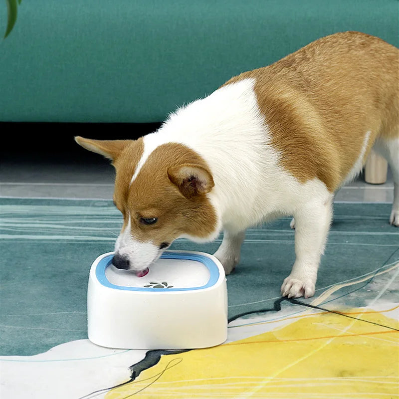 Anti-Spill Water Bowl