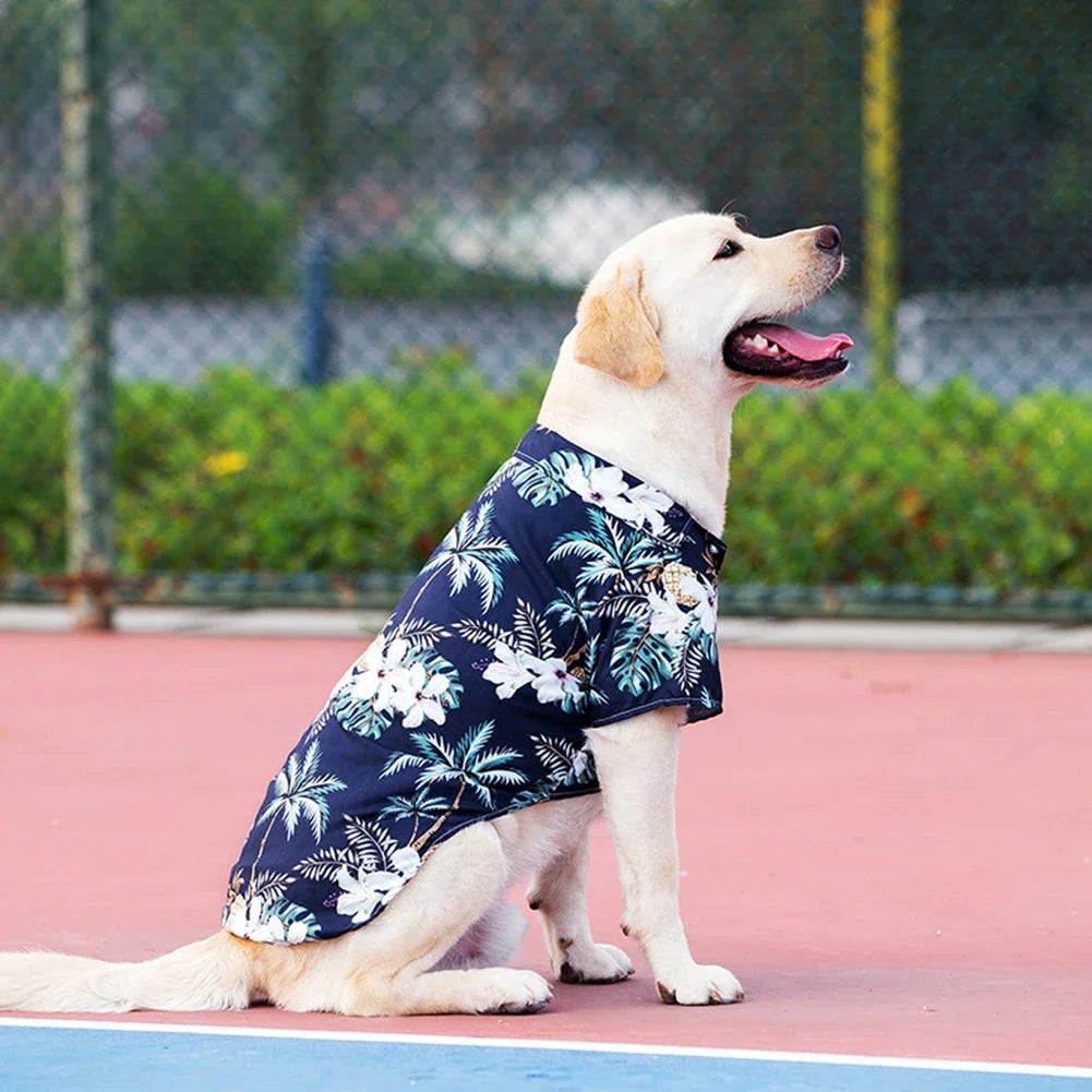 Hawaii Style