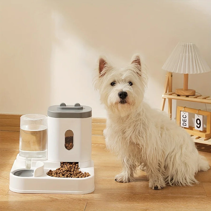Pet Feeder And Water Dispenser