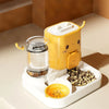 Portable Automatic Pet Feeder