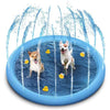 Pet Swimming Pool