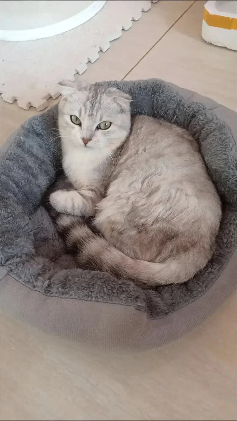 Soft Warm Bed