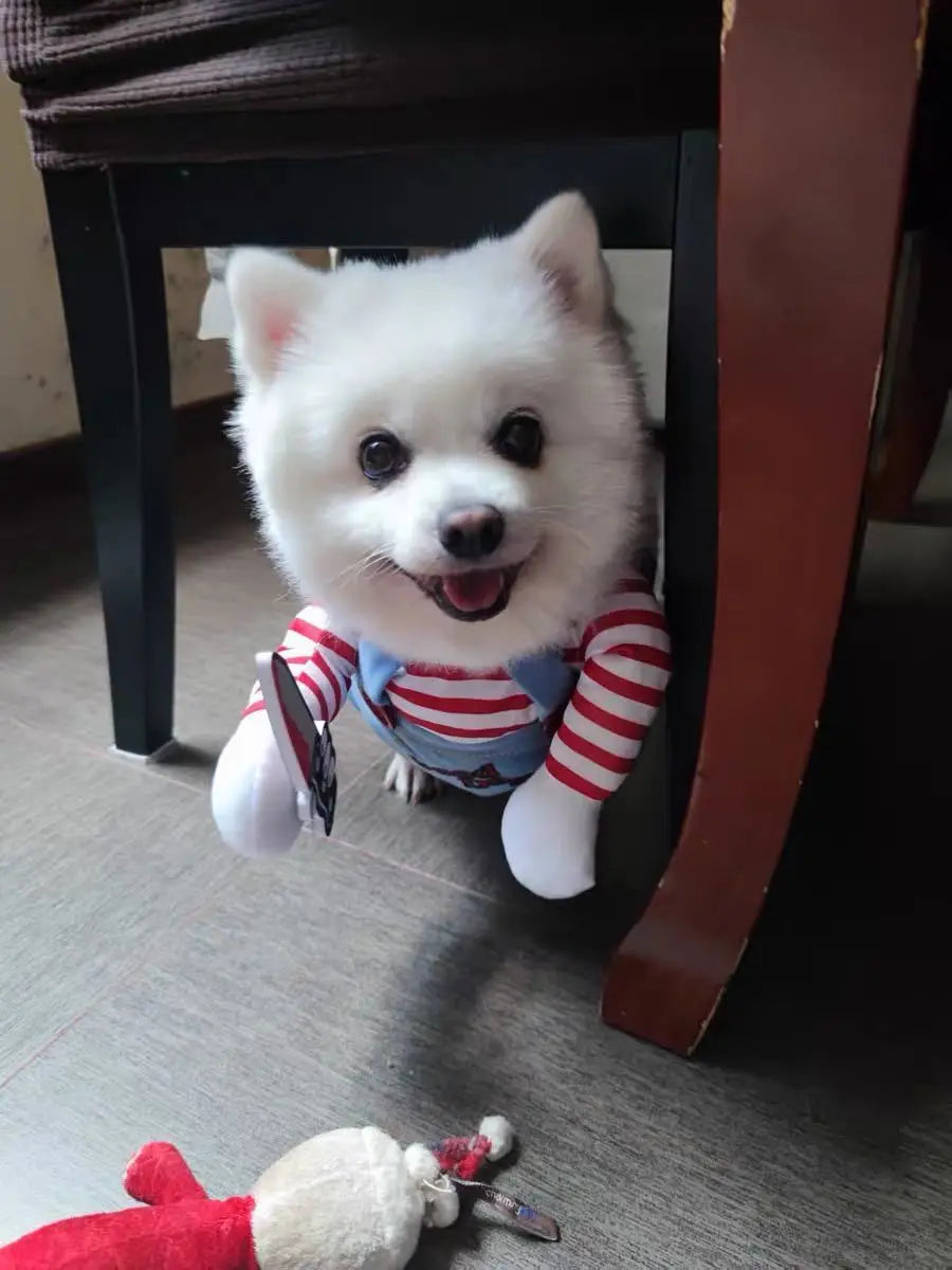 Halloween Cosplay Costume Dog Dress for Small & Medium Dogs