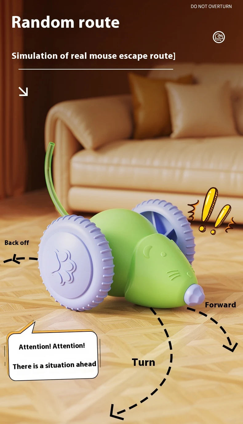 Electric Mouse Car