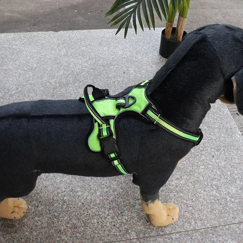 Adjustable Nylon Dog Harness