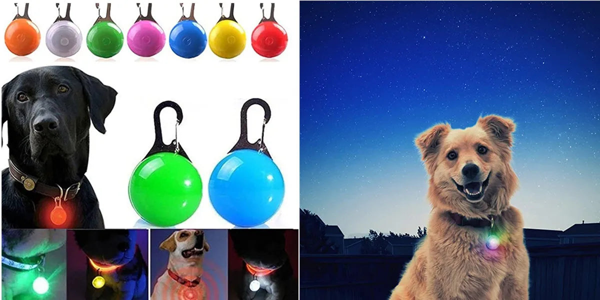 Luminous Collar
