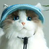 Sun-Protective Pet Hat