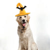 Halloween Witch Hat, Adjustable Soft Felt Pumpkin Cosplay Costume