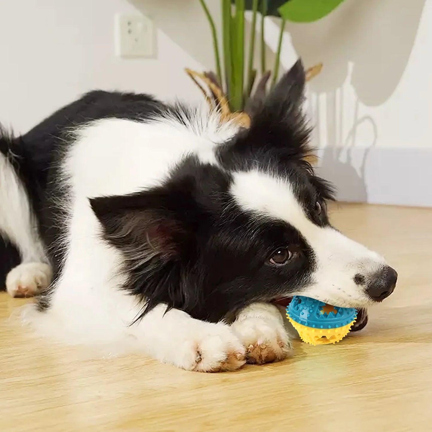 Chew Toys Grinding Teeth Sound Ball