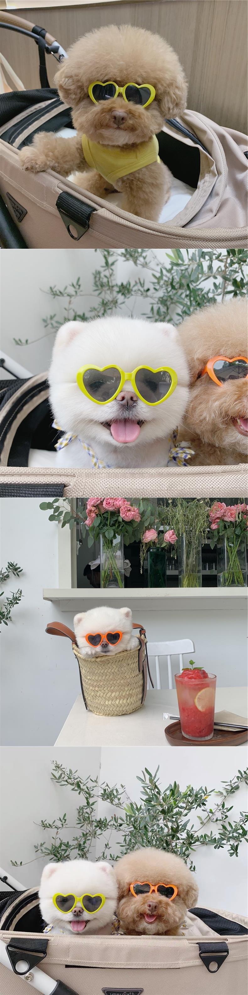 Pet Love Glasses