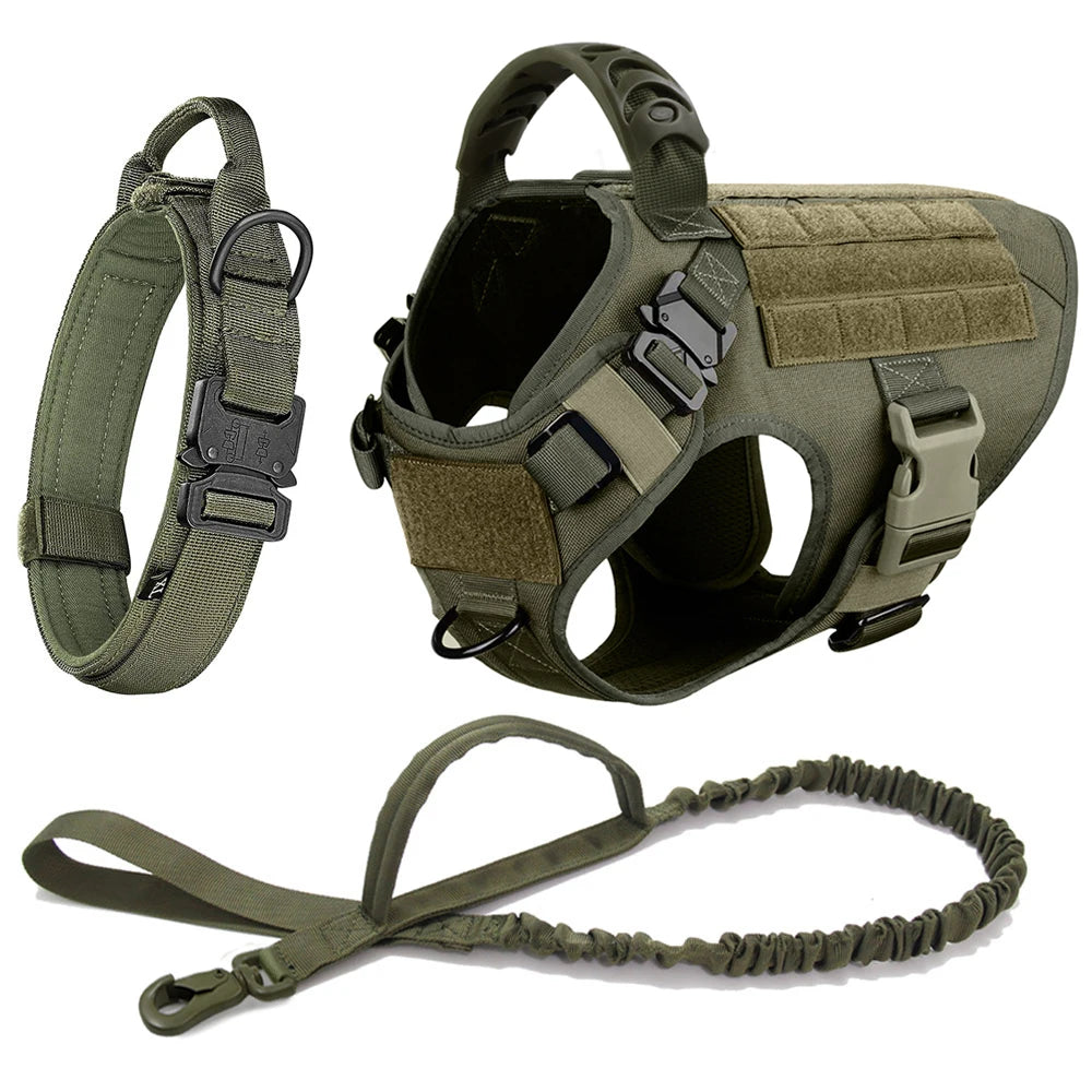 Large Dog Harness Collar Leash