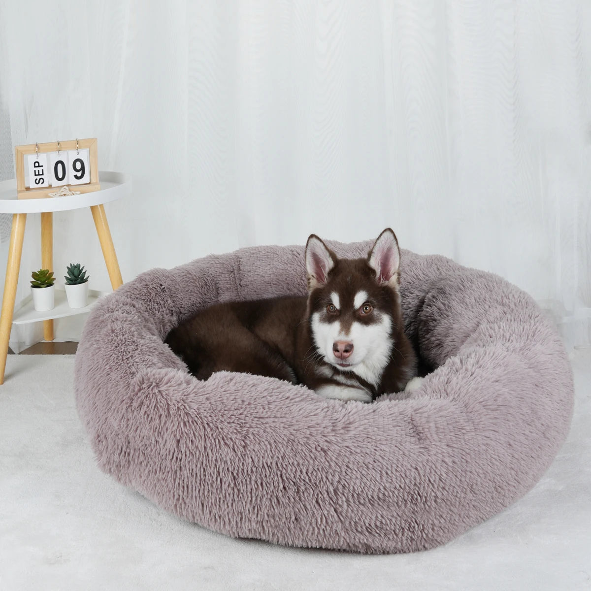 Large Round Donut Bed