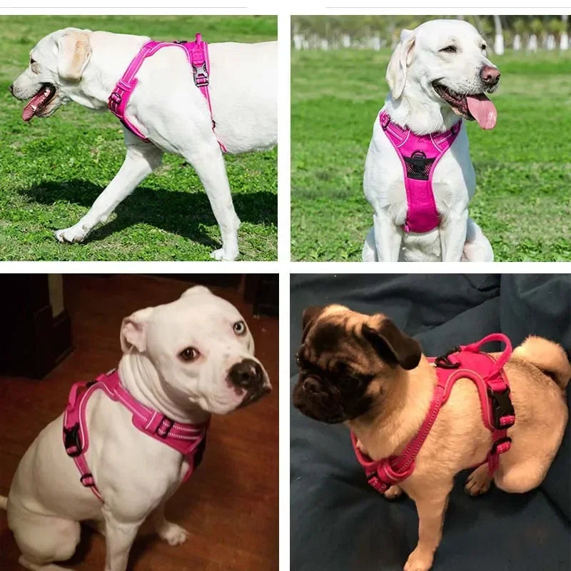 Adjustable, Reflective, Breathable Harness Vest