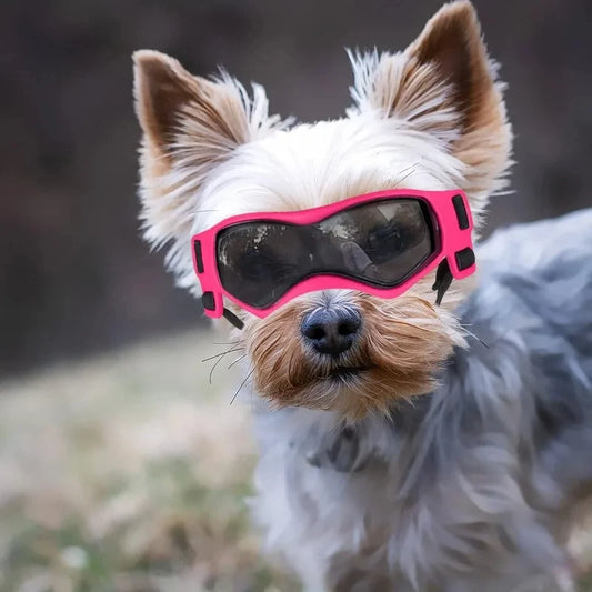 UV Protective Goggles