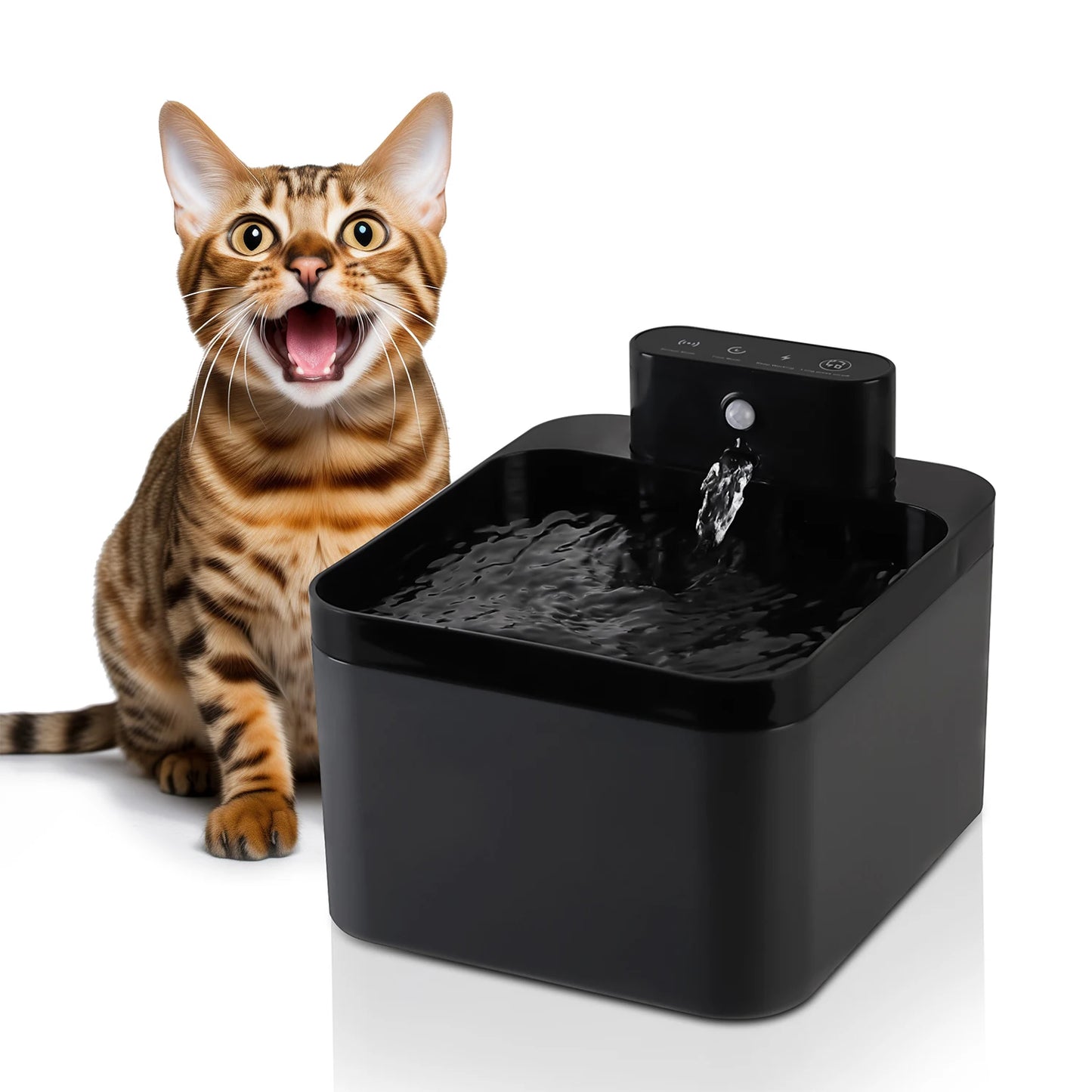 Wireless Water Fountain