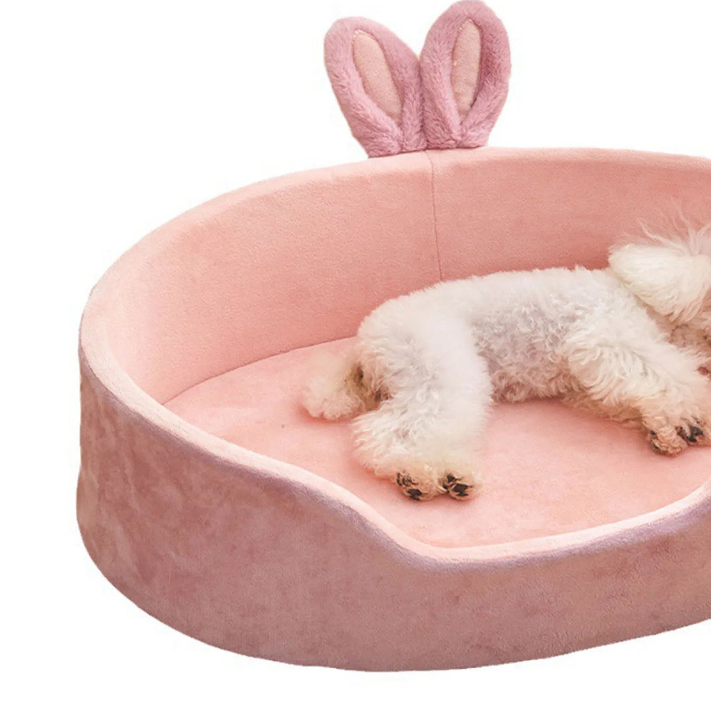 Soft And Comfortable Warm Bed