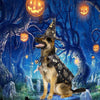 Funny Pumpkin Pet Halloween Costumes Cape